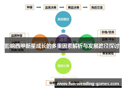 影响西甲新星成长的多重因素解析与发展路径探讨