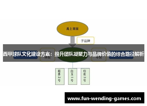 西甲球队文化建设方案：提升团队凝聚力与品牌价值的综合路径解析